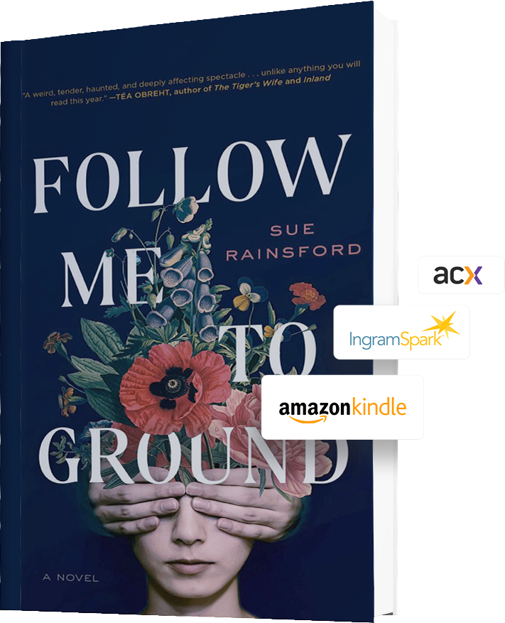 book cover of follow me to ground